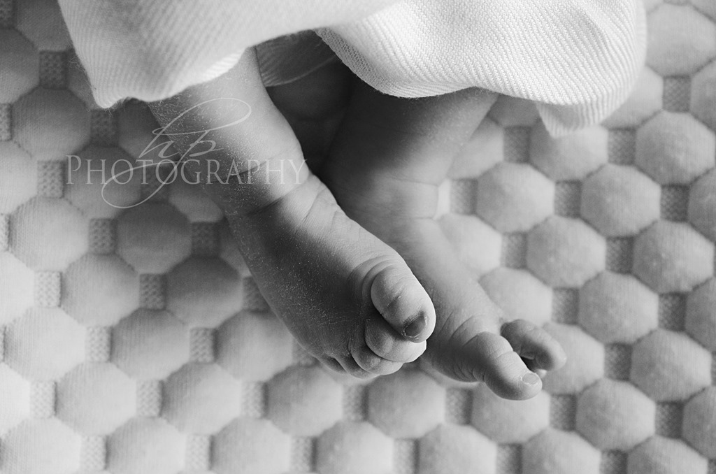 [HPP_4606bw5.jpg]