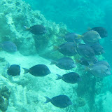 IMG_0290.JPG