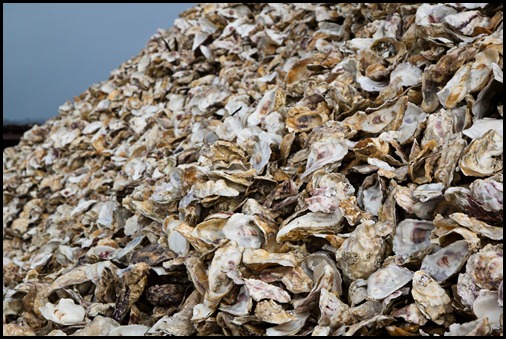 oyster-shell-mountain