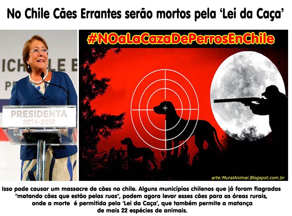 [lei-caca-chile%255B3%255D.jpg]