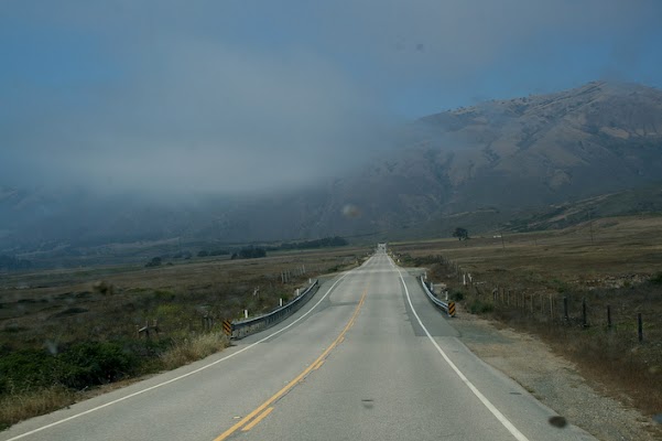 IMG_8364.jpg