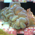 DSC_2150.jpg