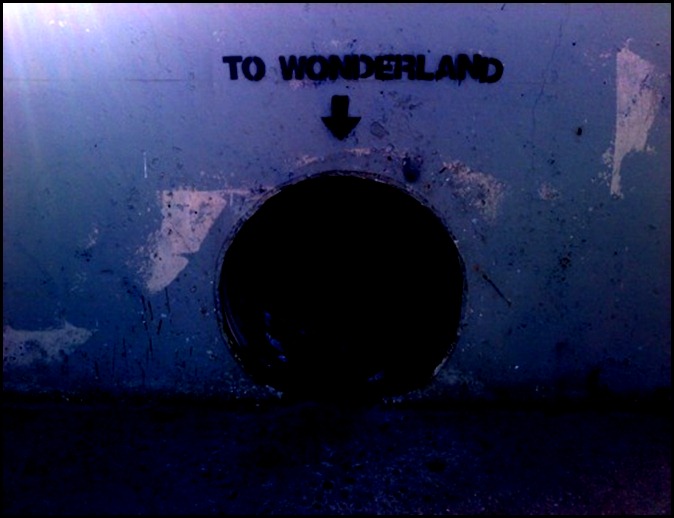 tumblr_lwg0kyQLhp1r8w6fao1_500