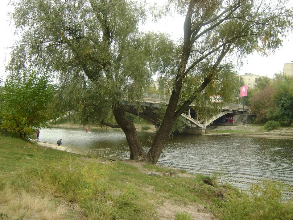 DSC04098.JPG
