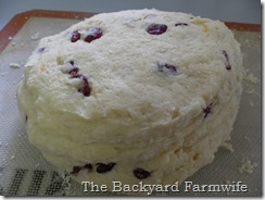 The Backyard Farmwife - Tea Party Scones