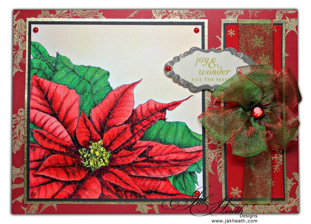 Poinsettia