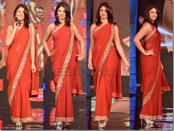Richa_Gangopadhyay_Embroidery_Shimmer_Saree