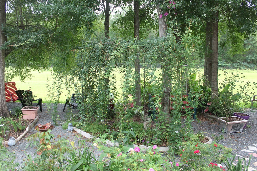 [IMG_4113%255B3%255D.jpg]