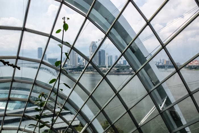 Gardens by the bay3 Gardens by the bay3