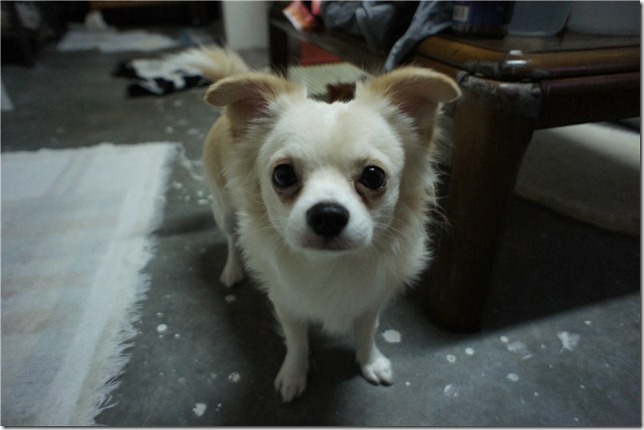 s-DSC03512 s-DSC03512
