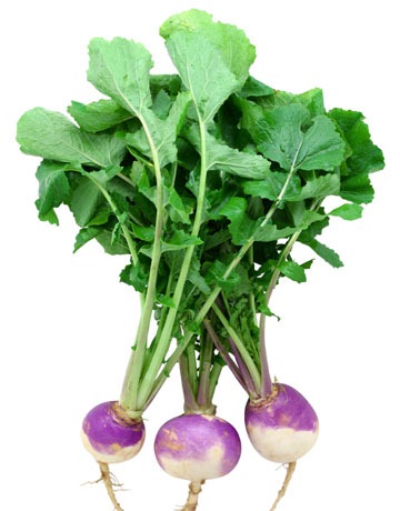 [Turnip%2520Greens%255B7%255D.jpg]