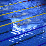 19e Antwerpen Youth International Swimming Cup 2010
