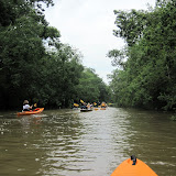 Bayou Teche Kayak Trip July 7, 2012 - IMG_0017.JPG