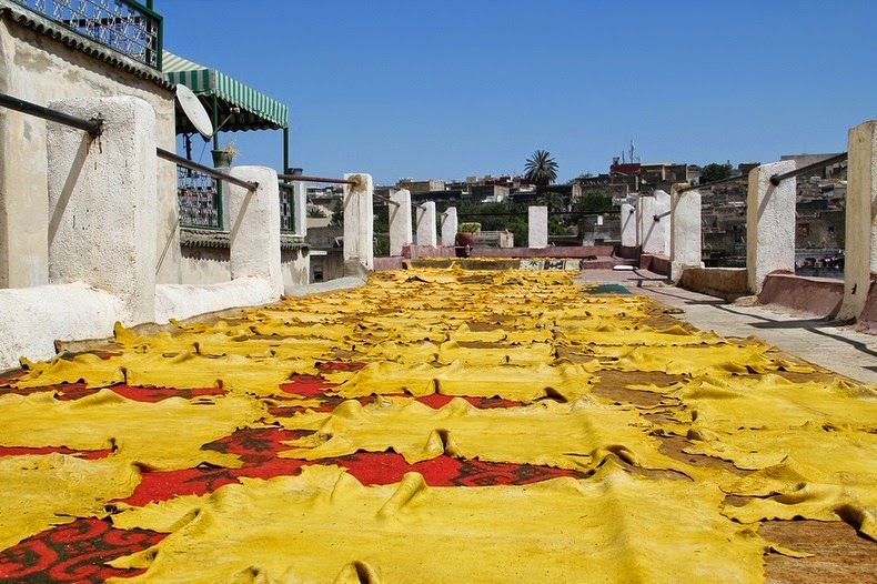 tannery-fez-4