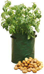 Potato Patio Planter White Background.jpg