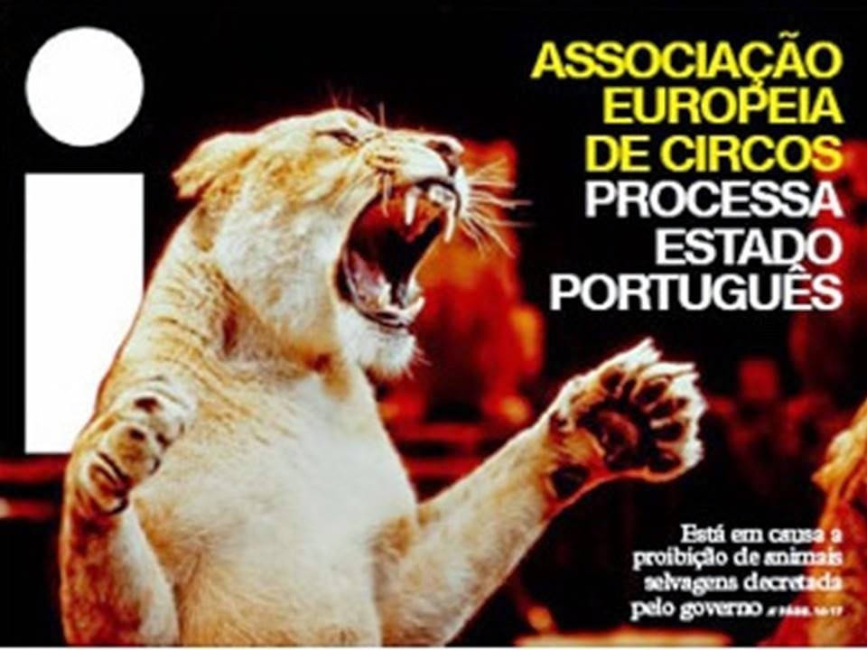 [Slide63%255B2%255D.jpg]