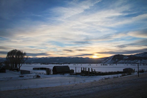 IMG_7288.jpg