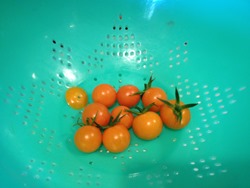 IMG_8969 IMG_8969