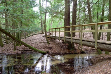 Cold Creek Bridge 2