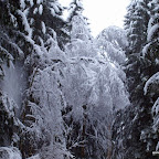 20091201 Allgaeu 1025 [640x480].JPG
