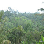 l037.jpg