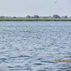 IMG_7858.JPG