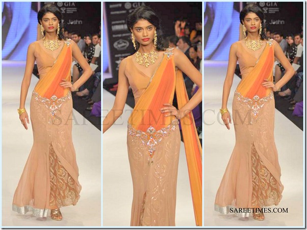 Jashn_IIJW_Saree (11)