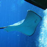 IMG_4773.JPG