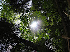 DSCN4910.JPG