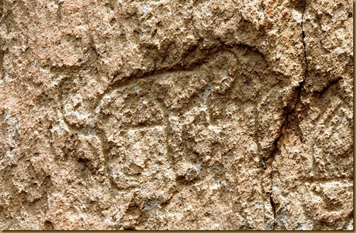 Faint petroglyph of a dog