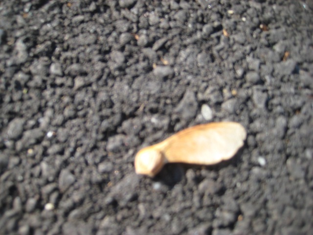 [IMG_5502%255B9%255D.jpg]