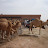 P1030141.JPG