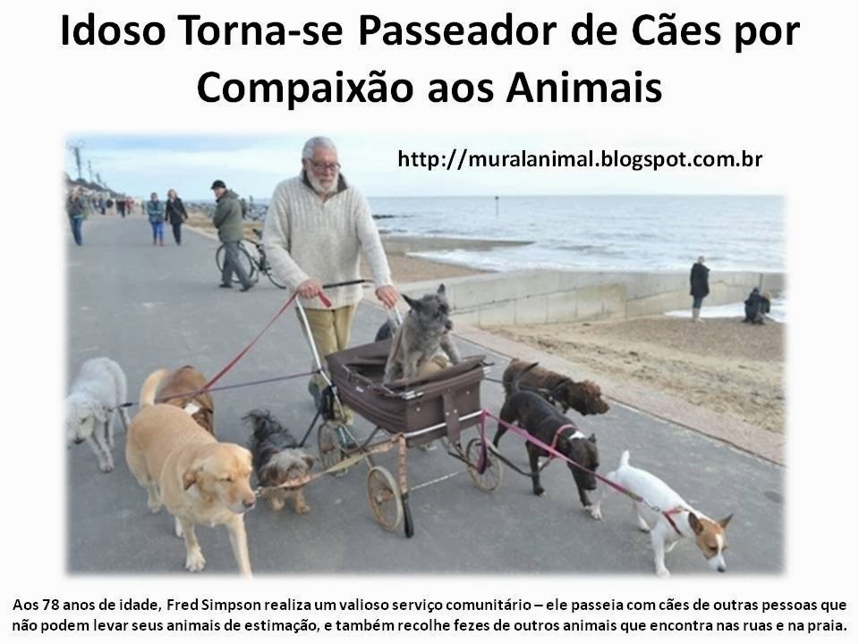 [Idoso%2520Torna-se%2520Passeador%2520de%2520C%25C3%25A3es%2520por%2520Compaix%25C3%25A3o%2520aos%255B3%255D.jpg]