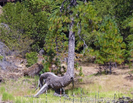 Dinosaur Tree