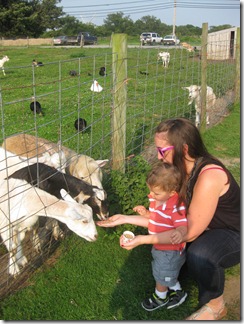 2012.08.17 Petting Zoo (5)