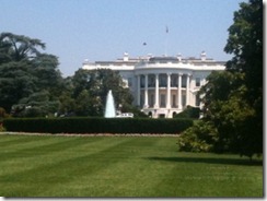 photo (11)