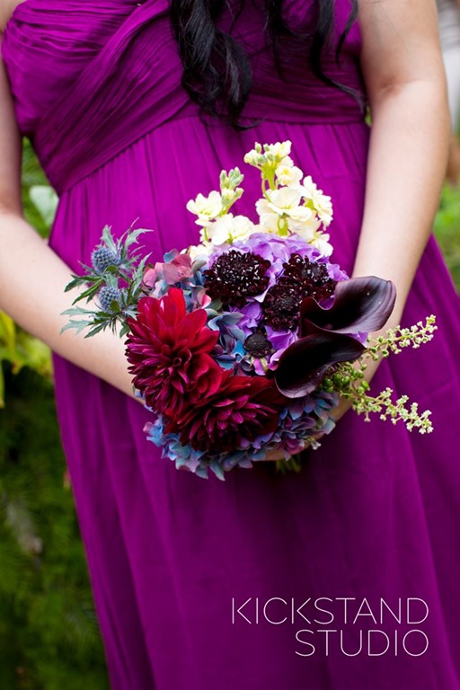 [grape-purple-bridesmaid-375252_10150.jpg]