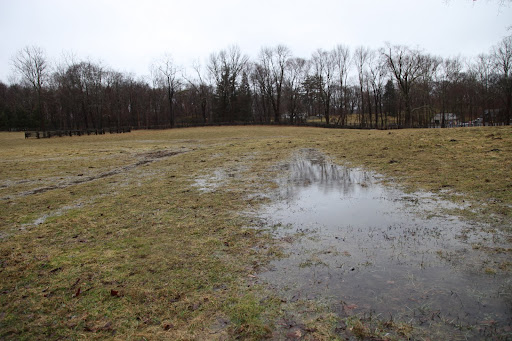 Just take a look at that soaking wet, muddy field!  We couldn't possibly run around in that, without the consequences of needing another bath.