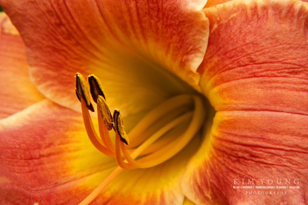 [finding%2520flower%255B5%255D.jpg]