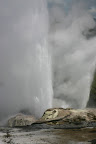 Steam from the Pohutu geyser