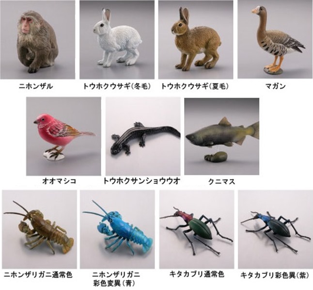 日本動物選集1 東北/北限的猴子|松村しのぶ|20130120