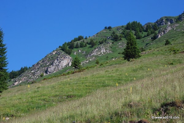 26.jpg