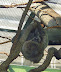 National Zoo in August