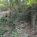 DSC07357.JPG