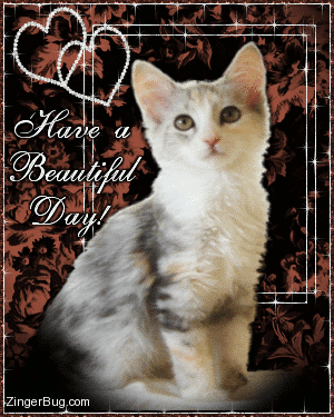 [have_a_beautiful_day_calico_kitten%255B2%255D.gif]