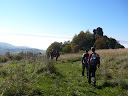 P1020317.jpg