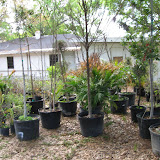 Transitional Housing Workday