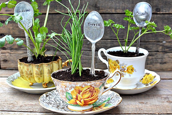 [plant%2520labels%255B3%255D.jpg]