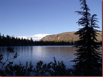 mammoth 118