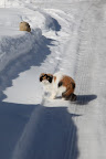 Whatever you two are conspiring, you should know that I'm watching carefully!!!